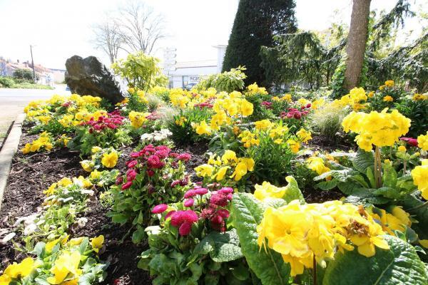ACSOE flower garden by sebastien GAUDIN