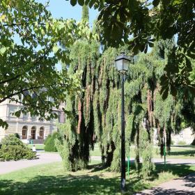 ACSOE-green-garden by sebastien GAUDIN