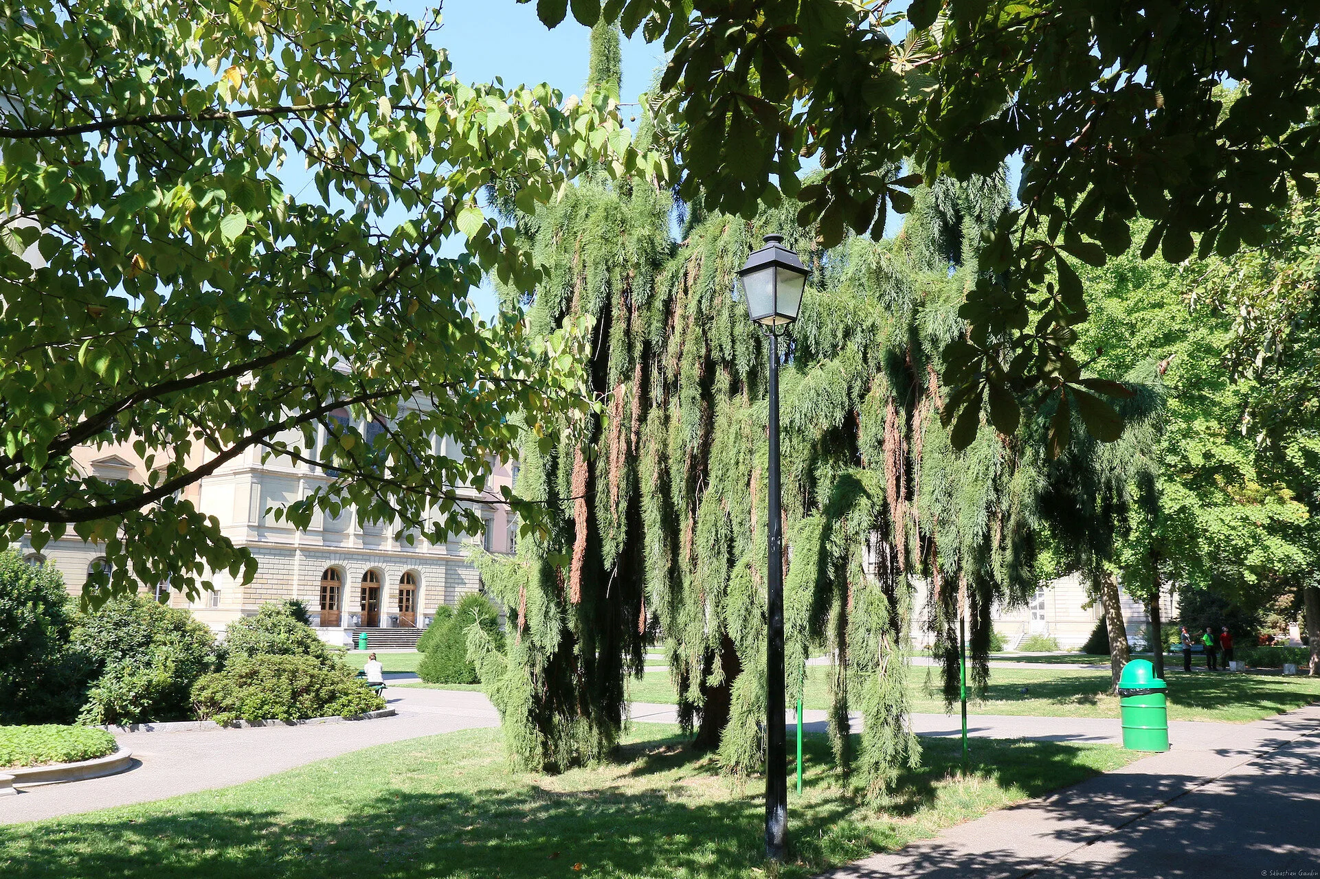 ACSOE-green-garden by sebastien GAUDIN