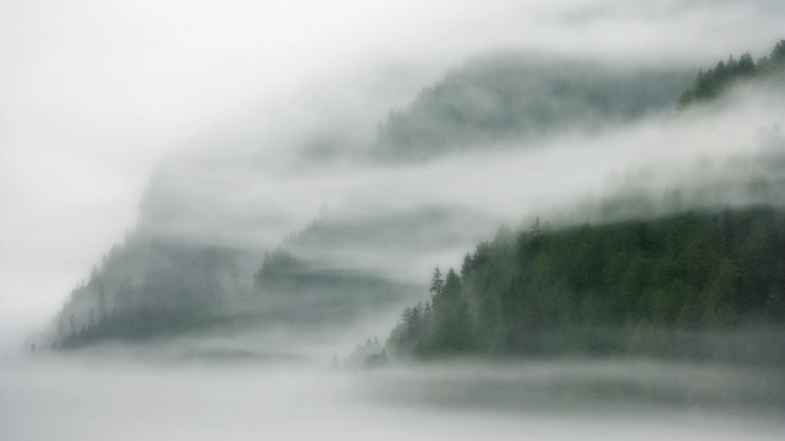 Montagne dans la brume