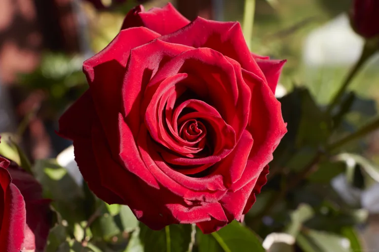 KPI : key performance indicateur