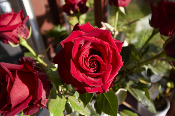 2021 11 10 photos pour ACSOE 12