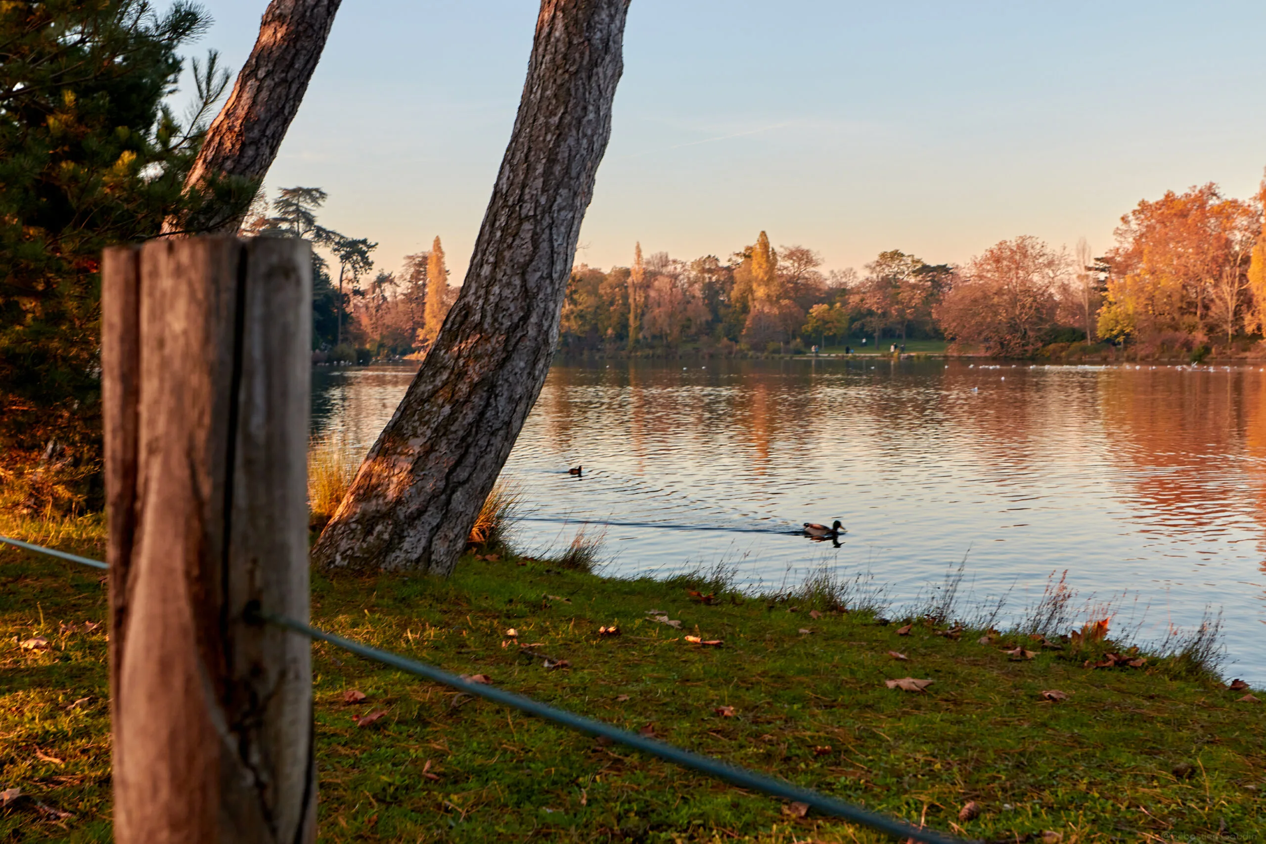 ACSOE - Agilité & Lean : concentrer les efforts là où se crée la valeur