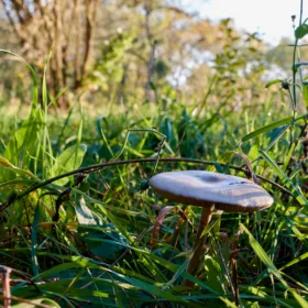 Diagnostic organisationnel et opérationnel : la démarche ACSOE