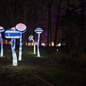 ACSOE - deep doubt - doute profond et agilité