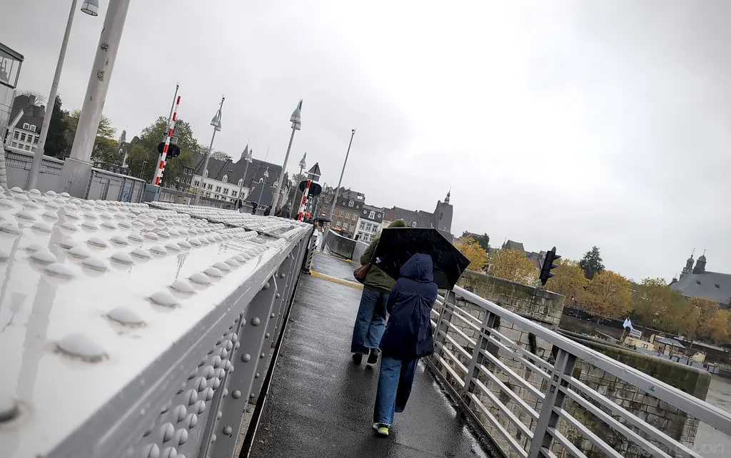 HSTS (HTTP Strict Transport Security)