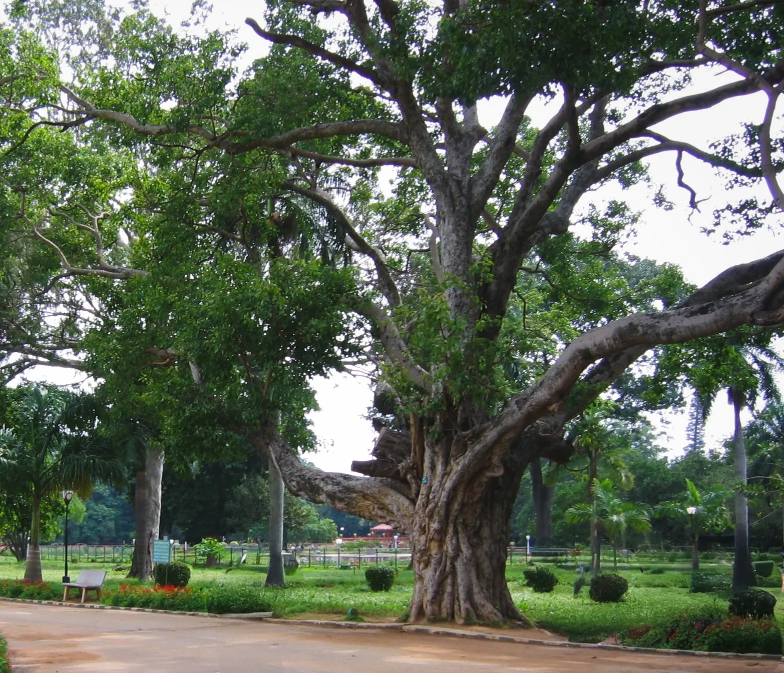 ACSOE - Coopération et collaboration au travail