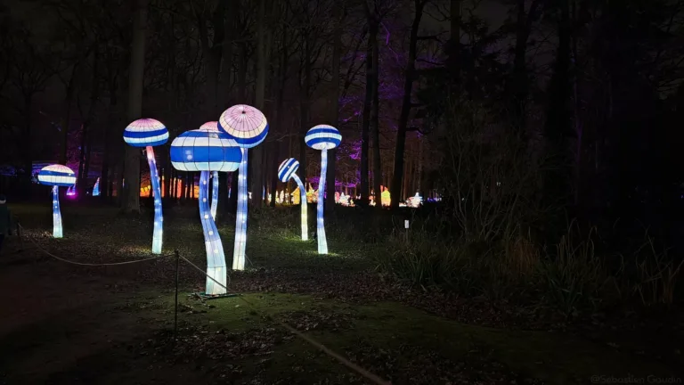 ACSOE - deep doubt - doute profond et agilité