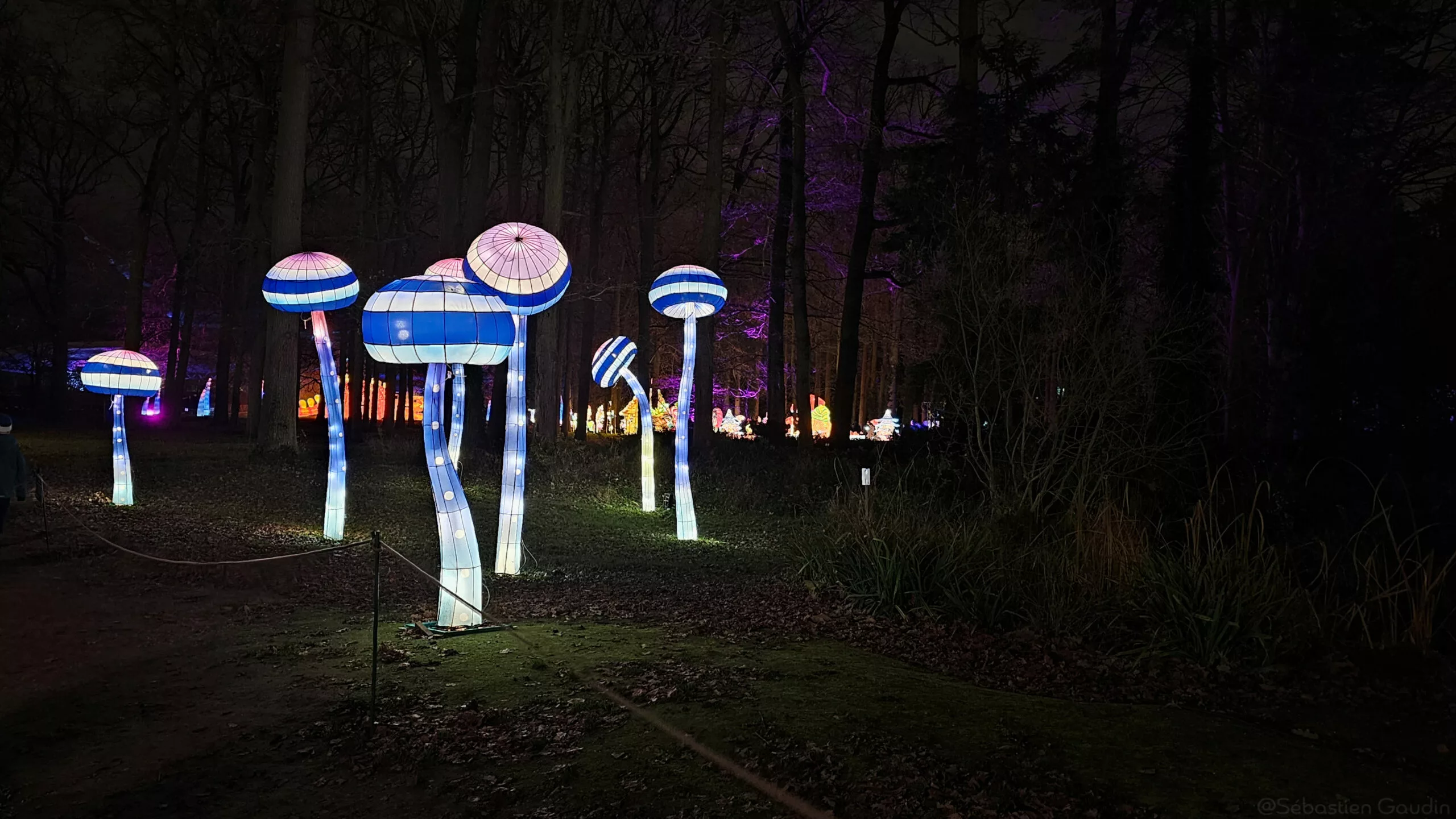 ACSOE - deep doubt - doute profond et agilité