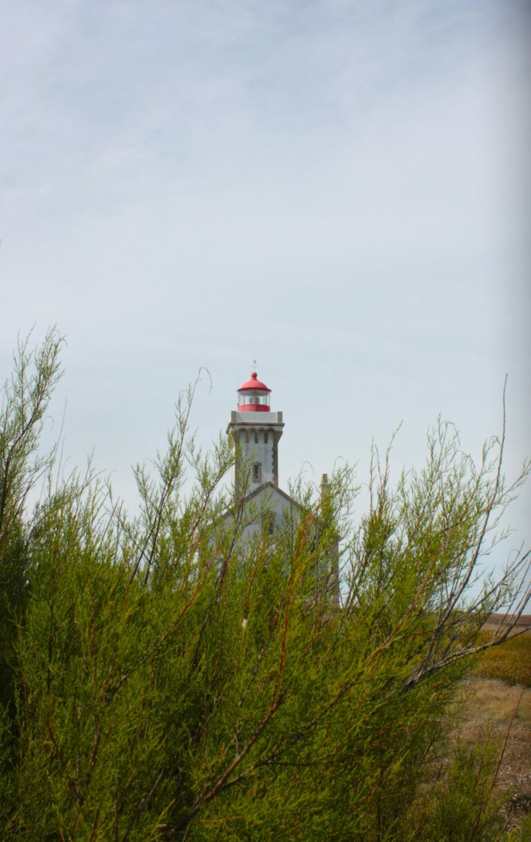 Dotation volontaire CPF : un dispositif clé pour financer la formation en entreprise