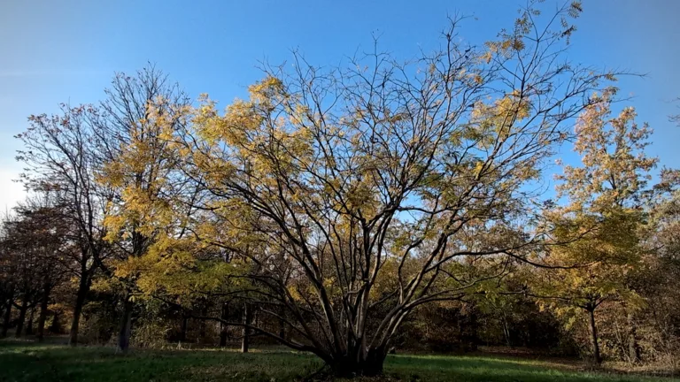 Les 4 familles de processus d’entreprise : métier, support, IT, pilotage