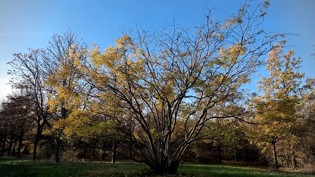 Les 4 familles de processus d’entreprise : métier, support, IT, pilotage