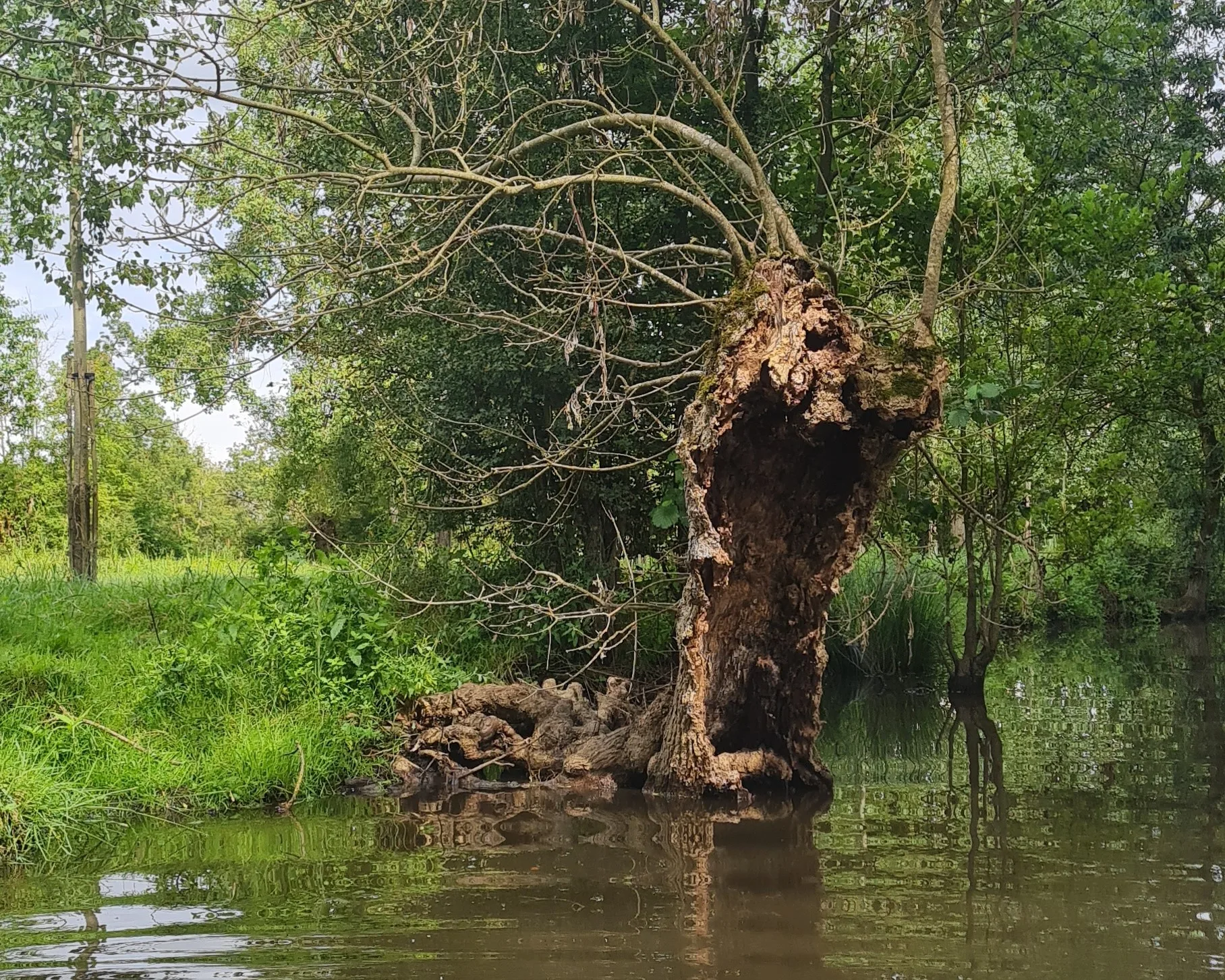 ACSOE Tech for retail IA