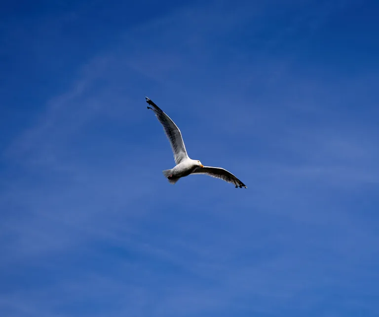La dépendance technologique devient un sujet de gouvernance