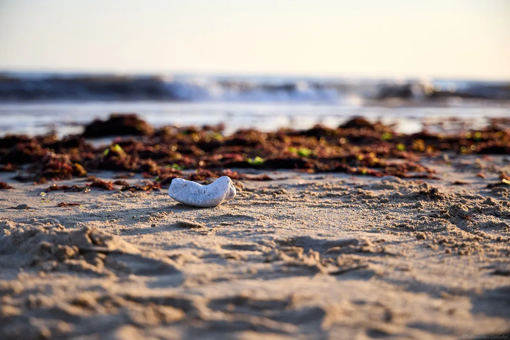 souveraineté numérique