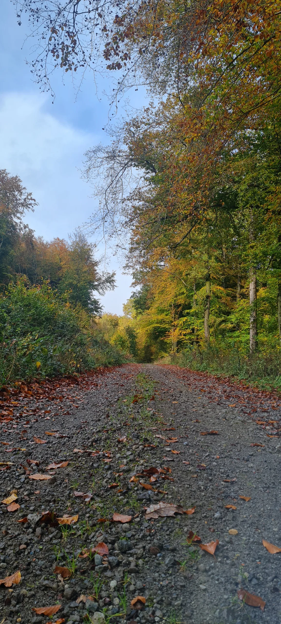 Le numérique représente aujourd’hui 4,4% de l’empreinte carbone de la France, soit 29,5 mégatonnes de gaz à effet de serre. Face à ce constat, l’éco‑conception et le Green IT deviennent des leviers majeurs de décarbonation, plaçant les cadres et les experts du numérique au centre de la transformation.